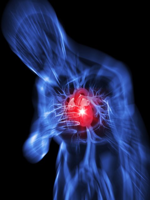 Zoom shift illustration of a blue 3d model of a man clutching his heart highlighted in red