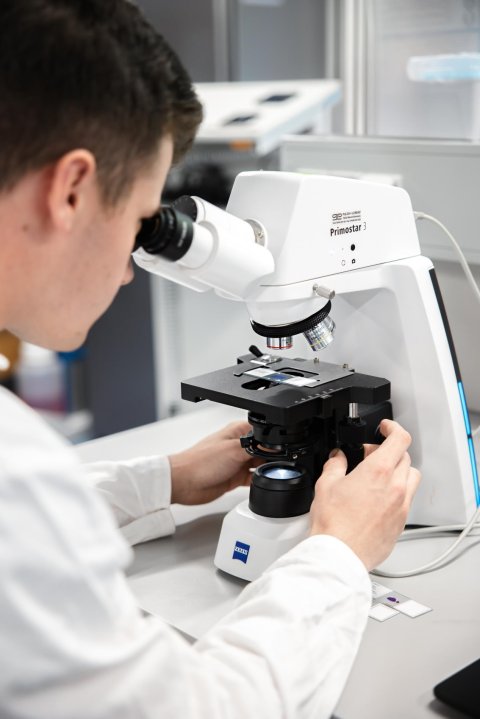 Ein Forscher blickt in einem Labor durch das Okular eines Mikroskops