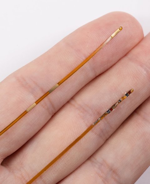 Closeup photo of a hand holding two orange cables