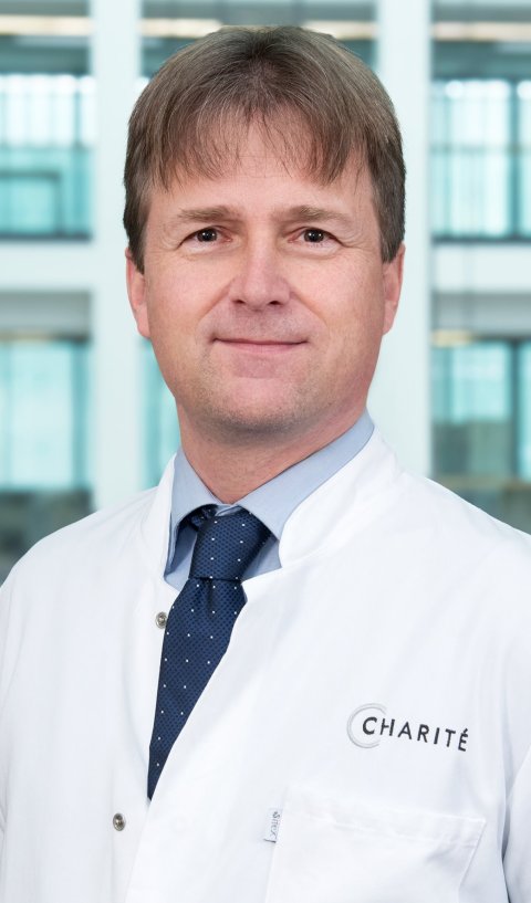 Portraitfoto von Prof. Harald Ehrhardt