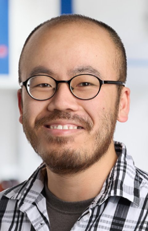 Portraitfoto von Chang He