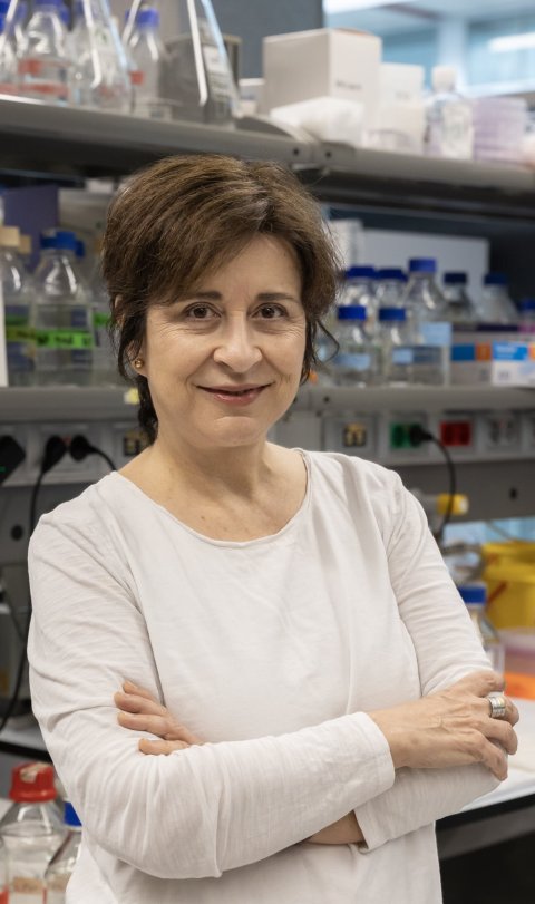 Juana Diez is standing in a laboratory with many glass bottles and other lab equipment. She has her arms crossed in front of her chest