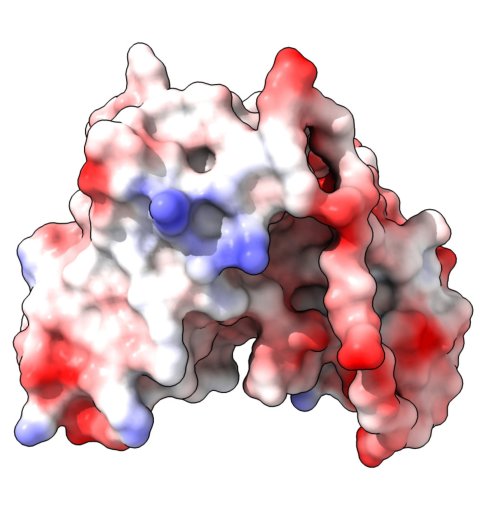 A molecular structure in white, red, and blue, against a white background