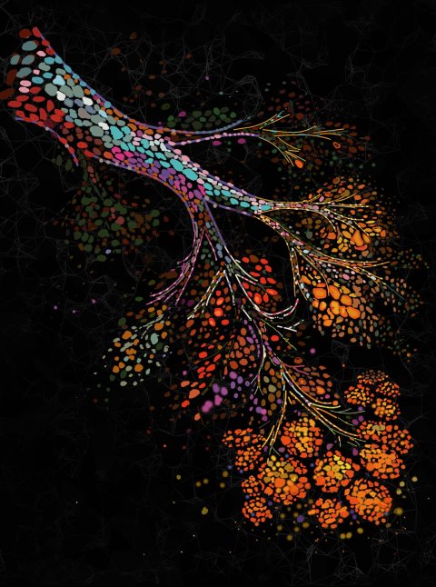 Colourful illustration of different cells and tissues in a human breast against a black background