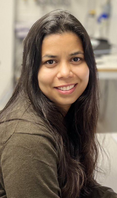 Portrait photo of Bina Kumari Singh