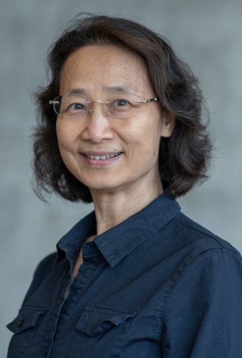 Portrait photo of Dr. Hong Li