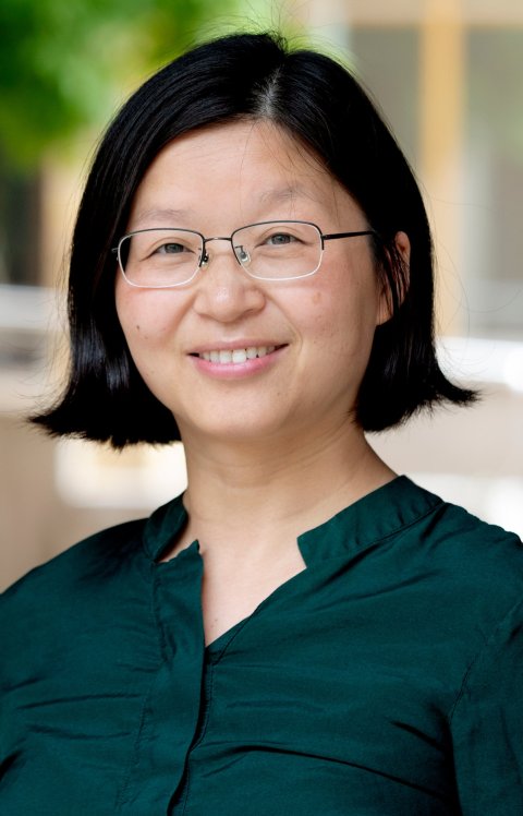 Portrait photo of Xuezhi Zeng