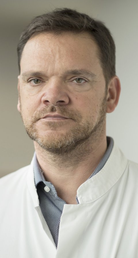 Portraitfoto von Prof. Dr. Holger Stepan