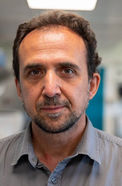 Portrait photo of Professor Daniel Muñoz-Espín