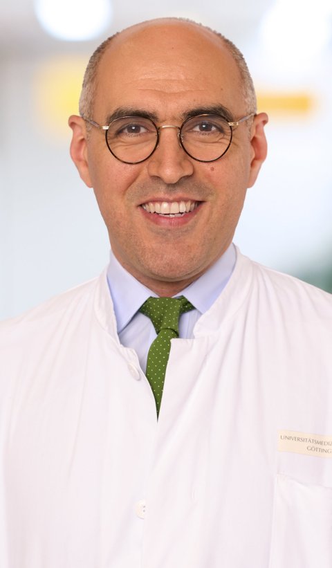 Portraitfoto von Prof. Ali Seif