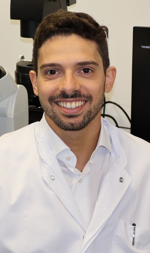 Portraitfoto von Dr. Stefano Navarro