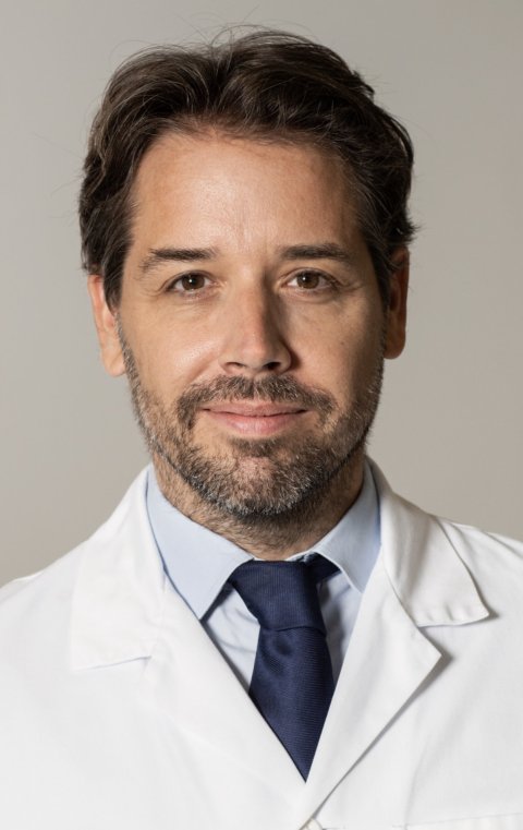 Portraitfoto von Prof. Markus Scheibel