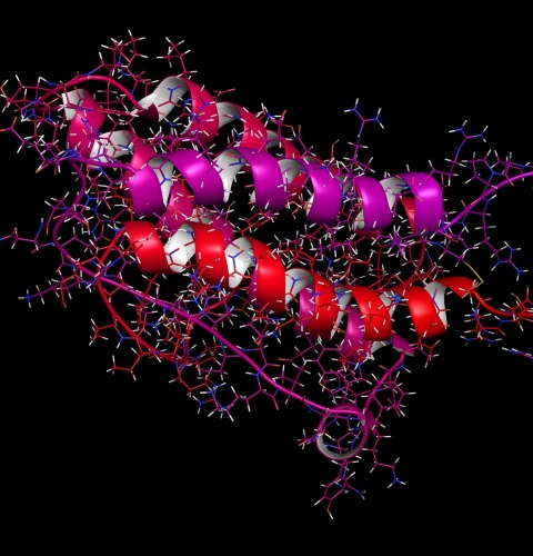 Erythropoietin (human EPO, epoetin) protein hormone, 3D rendering