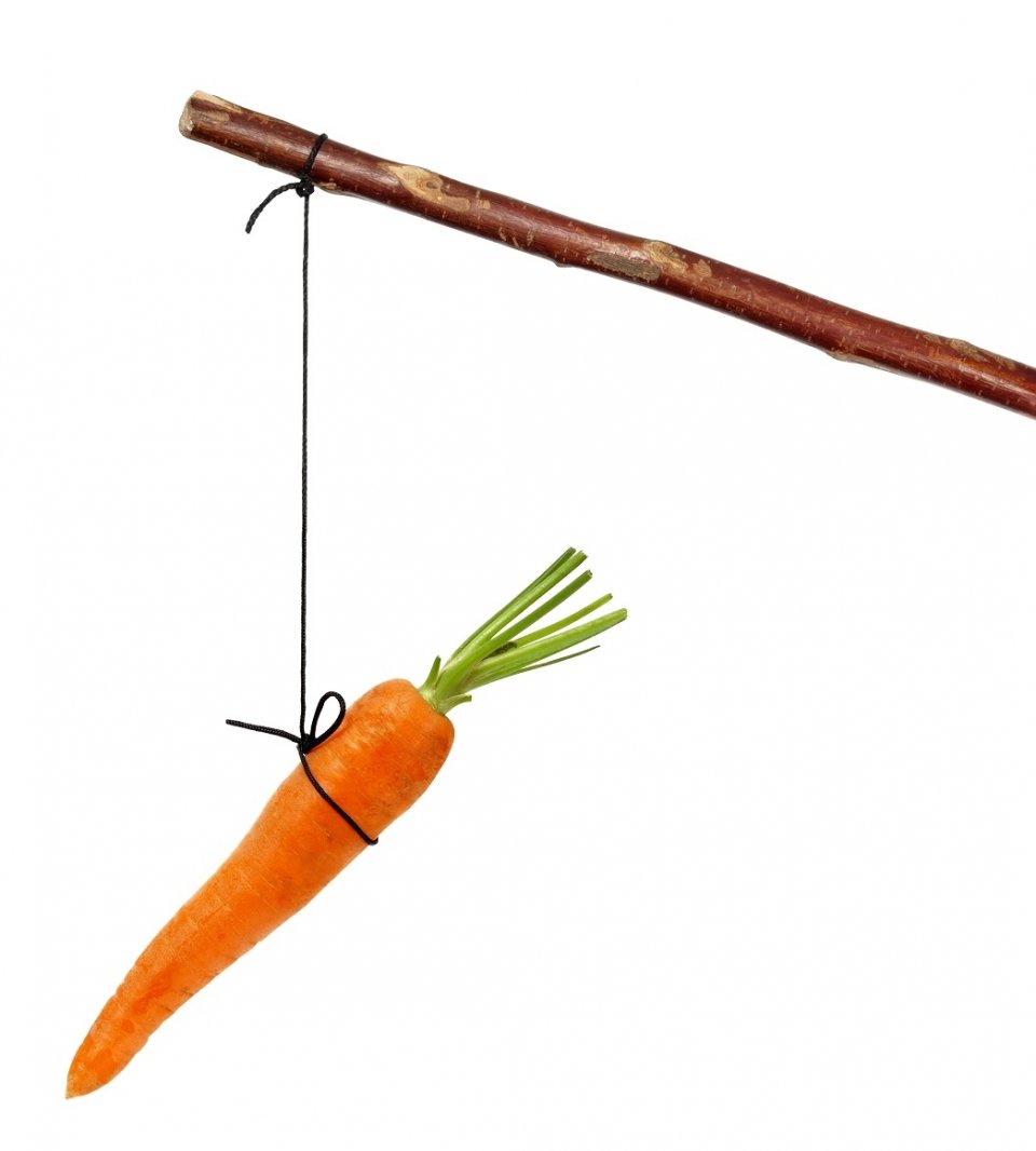 Steam carrot sticks фото 42