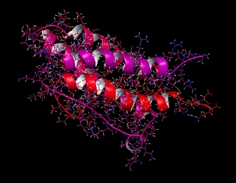 Erythropoietin (human EPO, epoetin) protein hormone, 3D rendering