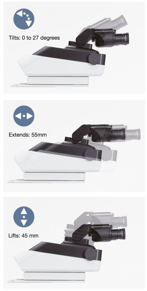 ergonomic settings on the olympus bx46 microscope