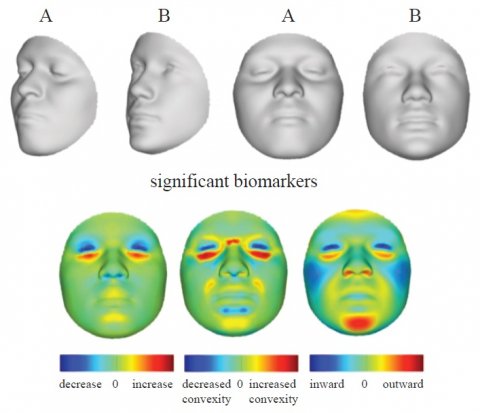 facial reconstruction using algorithms