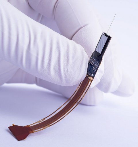 hand in white medical glove holding neural probe